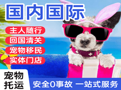 衢州航空物流国际宠物托运 【国